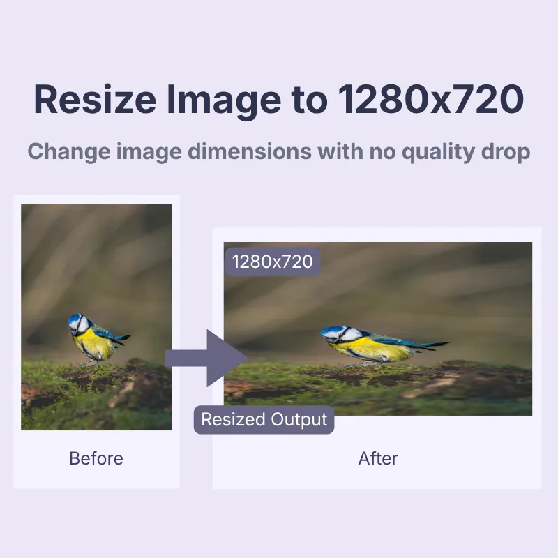 Resize image to 1280x720